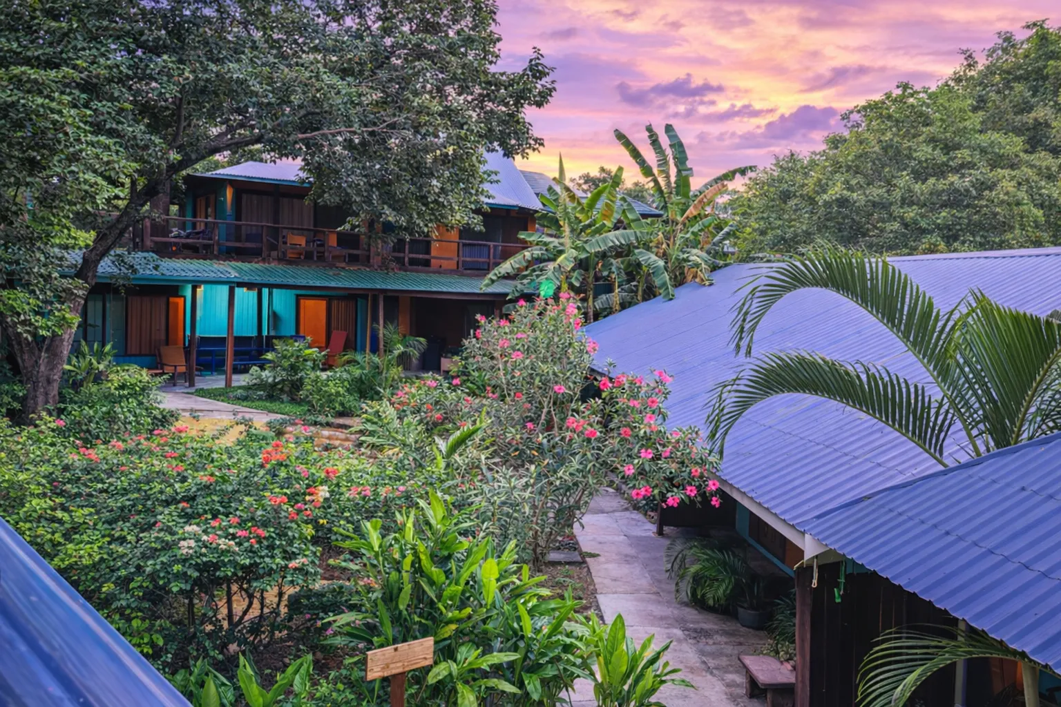 Hotel garden with flowers under purple sunset sky